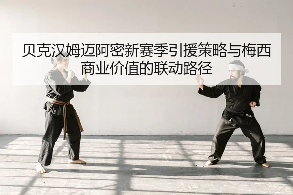 bei-ke-han-mu-mai-a-mi-xin-sai-ji-yin-yuan-ce-lve-yu-mei-xi-shang-ye-jia-zhi-de-lian-dong-lu-jing-2-157.jpg